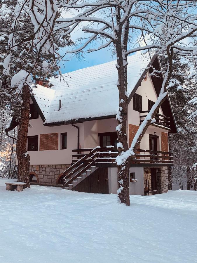 Vila Lucic Zlatibor Eksteriør bilde