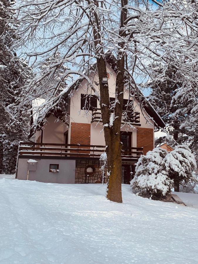 Vila Lucic Zlatibor Eksteriør bilde