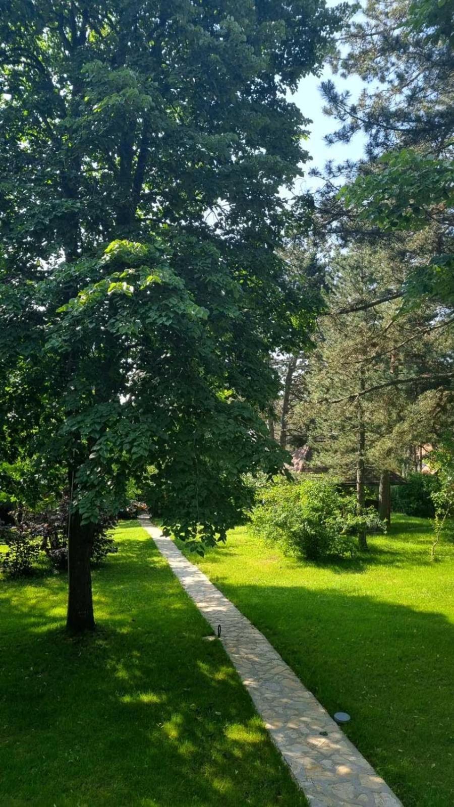 Vila Lucic Zlatibor Eksteriør bilde